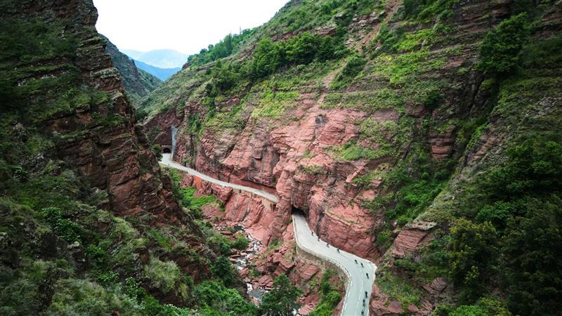 Cykling og Tour de France som Peter Krügers vigtige våben mod sin hustrus kroniske sygdom 