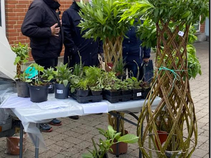 Plantemarked i Hurup: Forårets første blomster, buske og træer