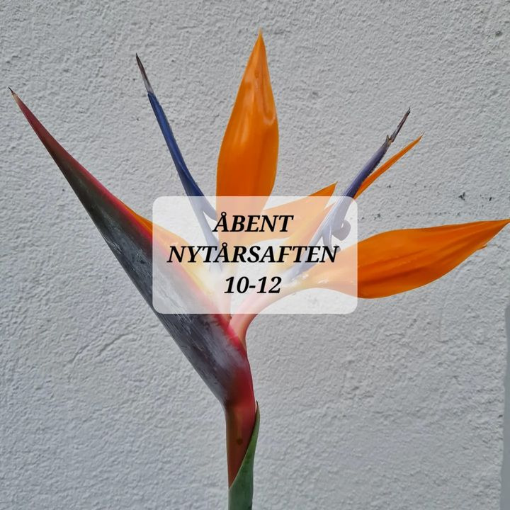 Hold trit med lokalområdet: Nyt fra Fredericia