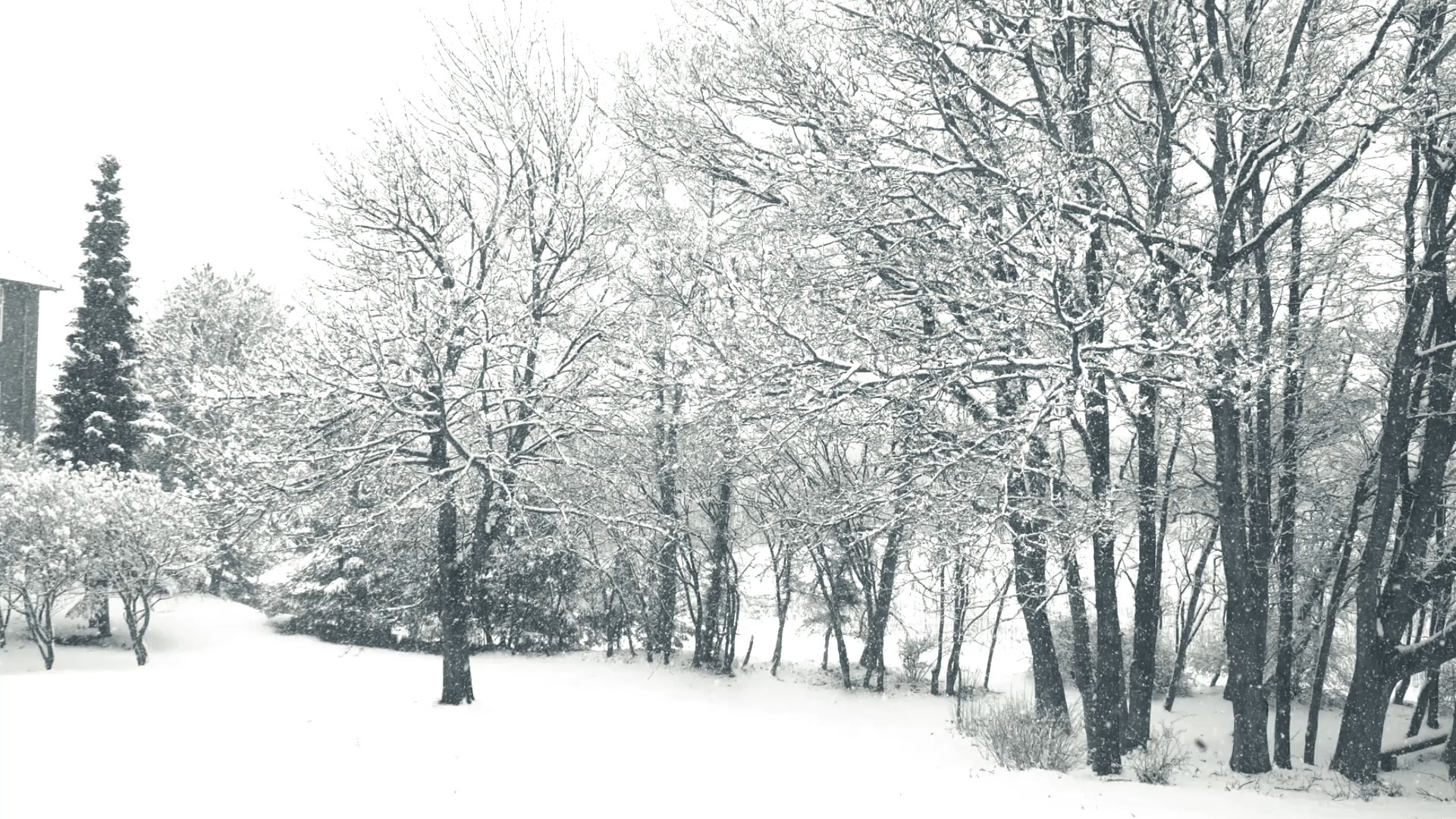 Opslagstavlen: Nyeste opdateringer fra Sæby