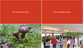 Oplev svampejagt og gammel dans i Skørping denne weekend