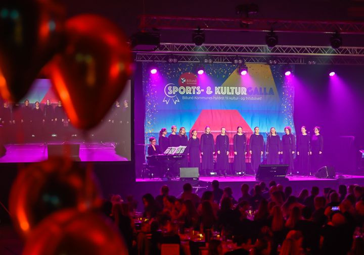 Indstil kandidater til priser og hædersbevisninger til årets Sports- og Kulturgalla