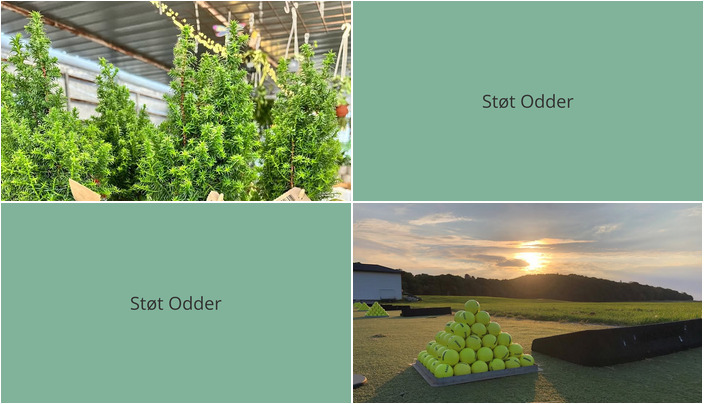 Nyt fra Midtjysk blomstermarked  og StensballeGaard Golfklub