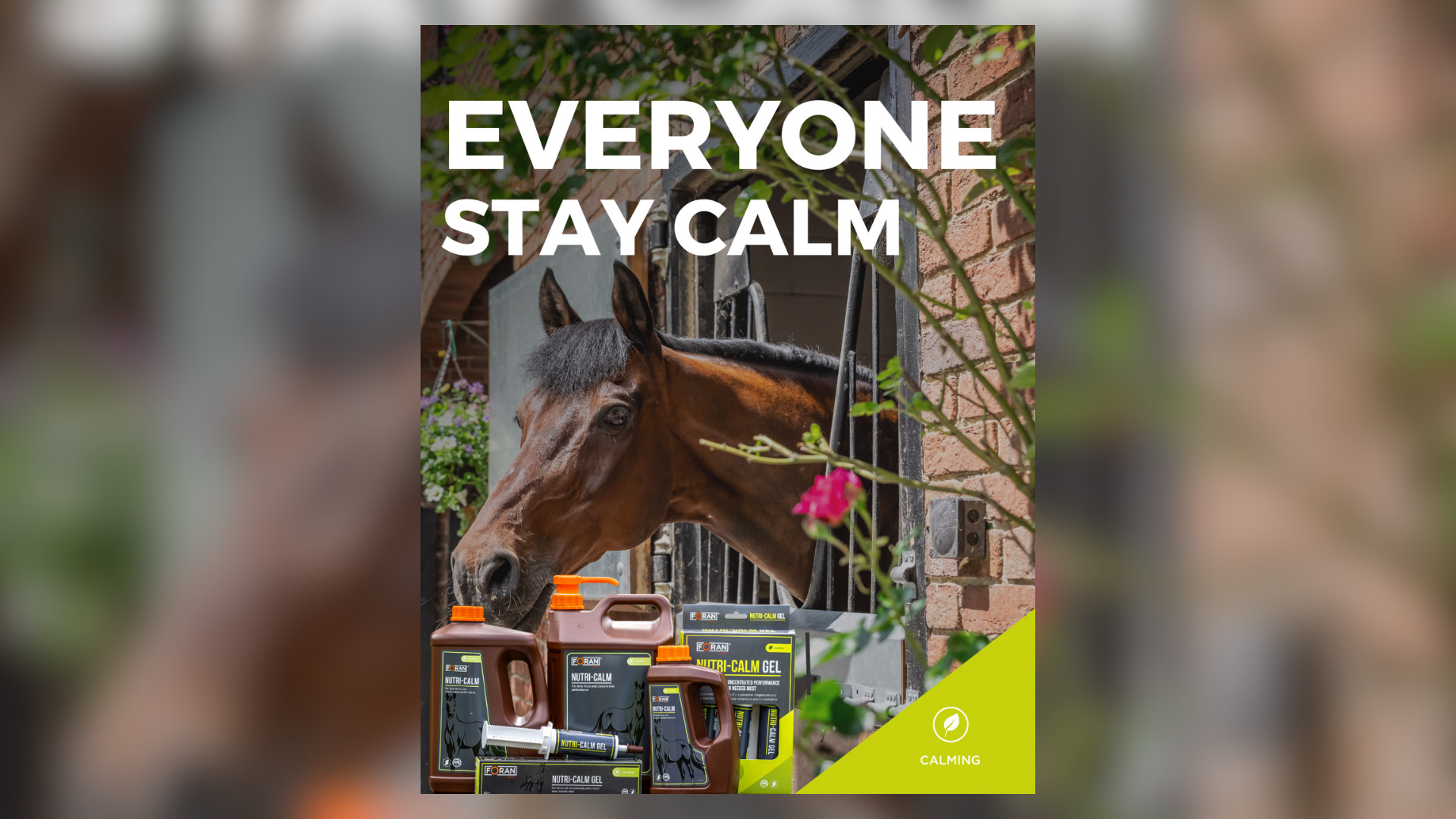 Horse Choice: Forkæl hesten i julen – og hjælp den godt ind i det nye år