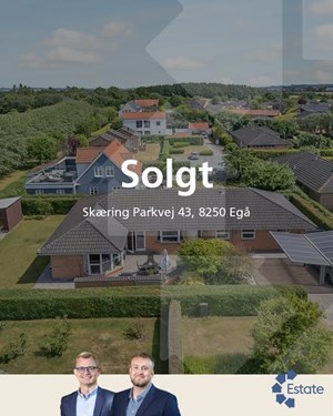 opslagsbillede