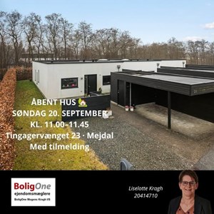 Opslagsbillede