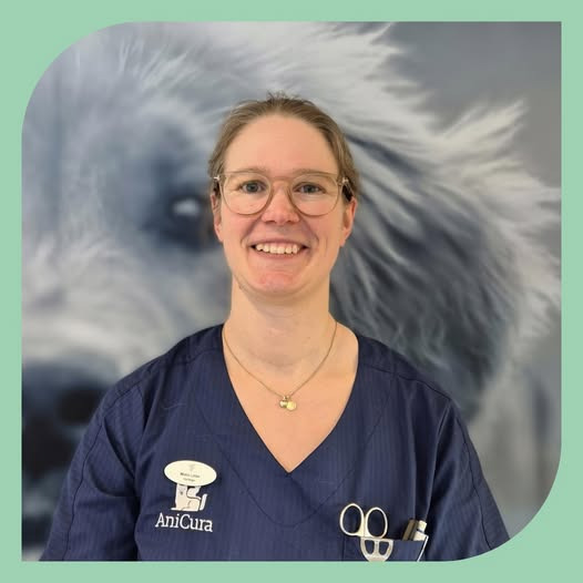 AniCura Familiedyrlægerne Aars byder velkommen til ny dyrlæge
