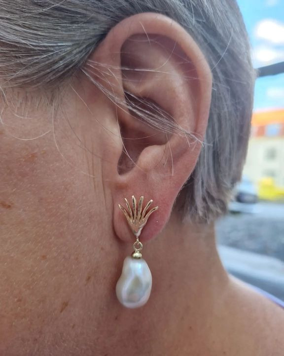 Opslagstavlen: Nyeste opdateringer fra Skive