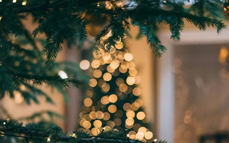 Juletræstænding på BramslevGaard: En festlig start på december