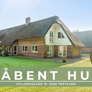 Opslagsbillede