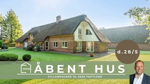 opslagsbillede