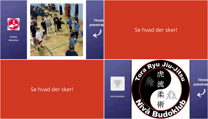 Oplev Nivå denne weekend: Boksetræning og Jiu-Jitsu for børn