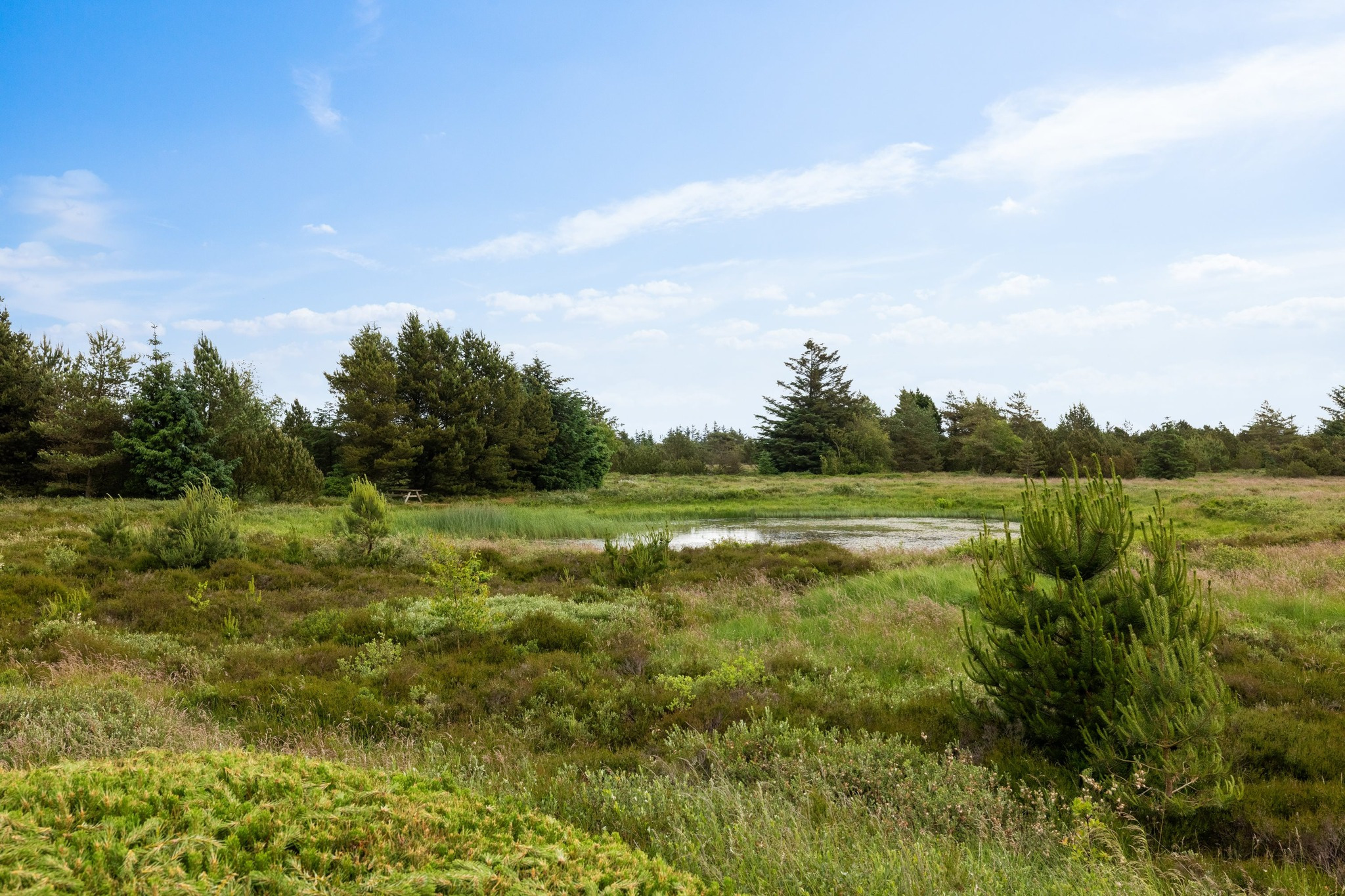 Drømmer du om sommerhusidyl med enestående udsigt? EDC Fjerritslev har stedet til dig