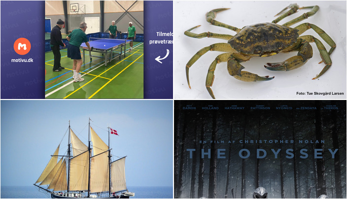 Weekenden i Faaborg: Bordtennis, strandkrabber, sejladser og biografoplevelser