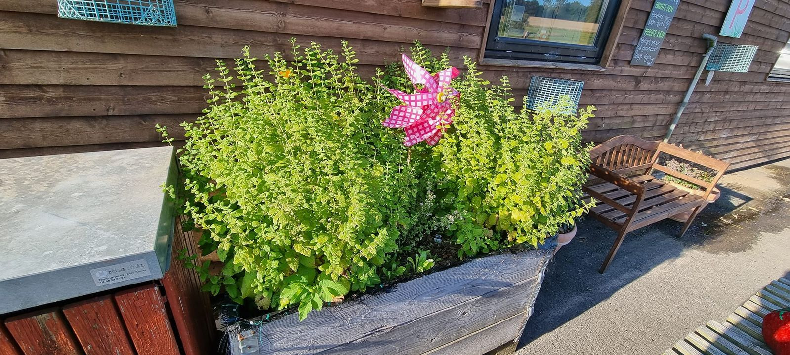 Opdatér dig her: Det nyeste fra Sæby