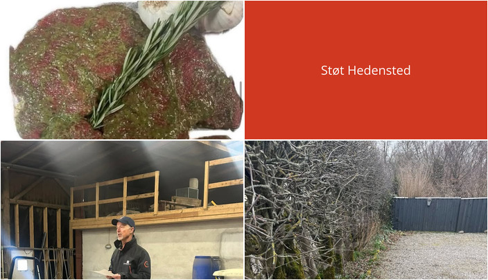 Nyt fra StensballeGaard Golfklub, EDC Hedensted og Beringsslagteren ApS