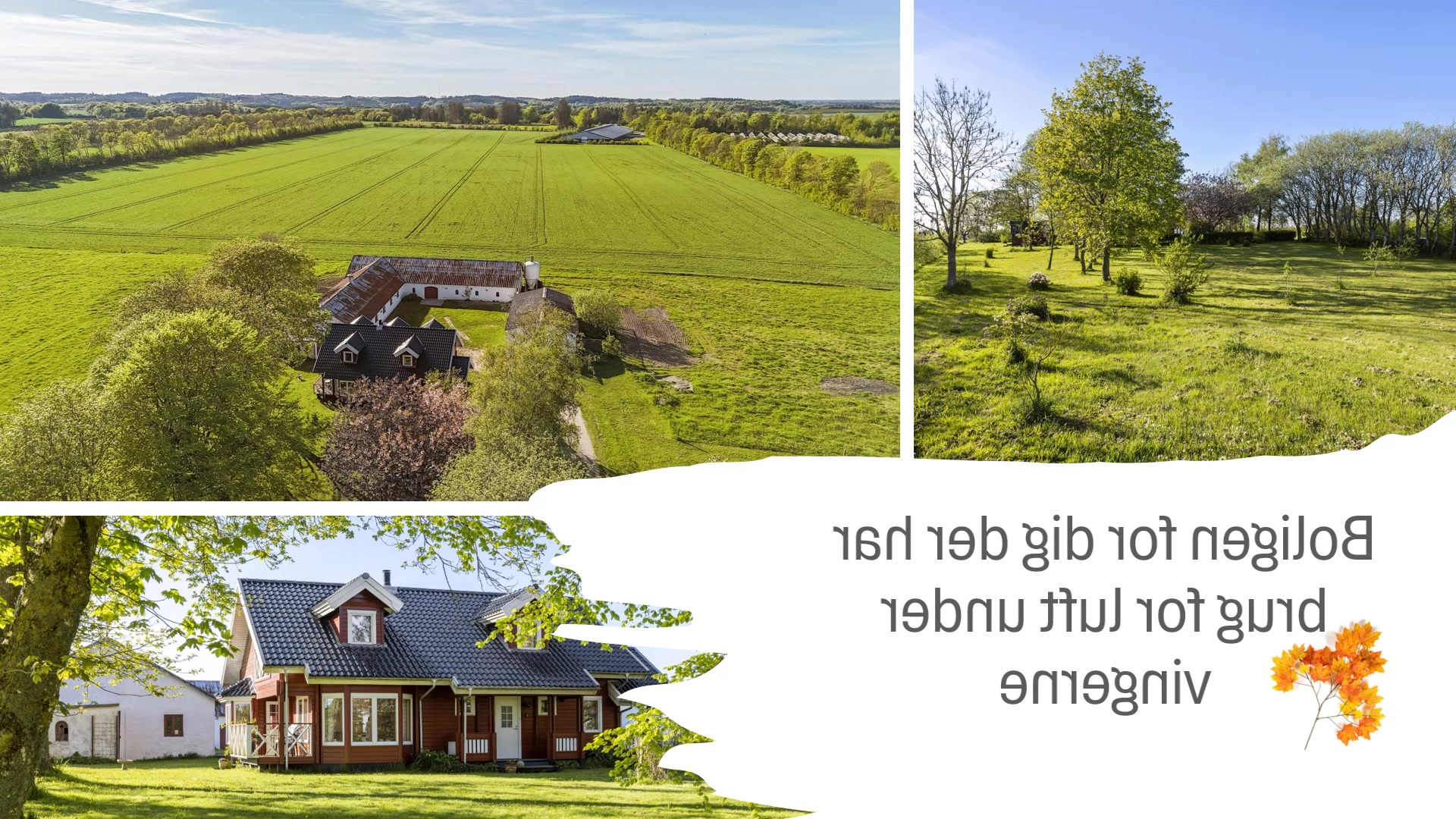 Nyt fra Estate Boligmægleren Tårs