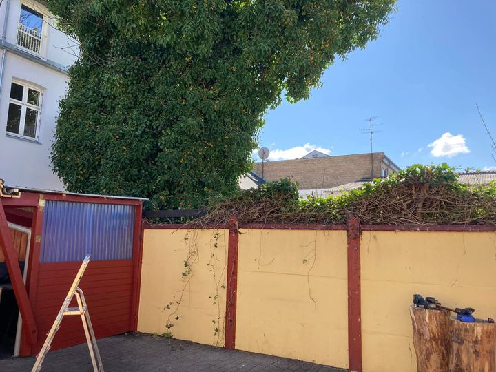 Hold trit med lokalområdet: Nyt fra Herning