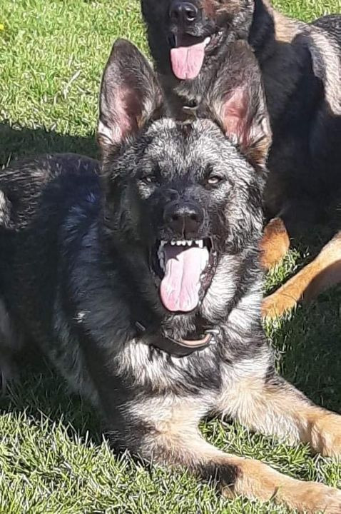 Det nyeste på Sæbys opslagstavle