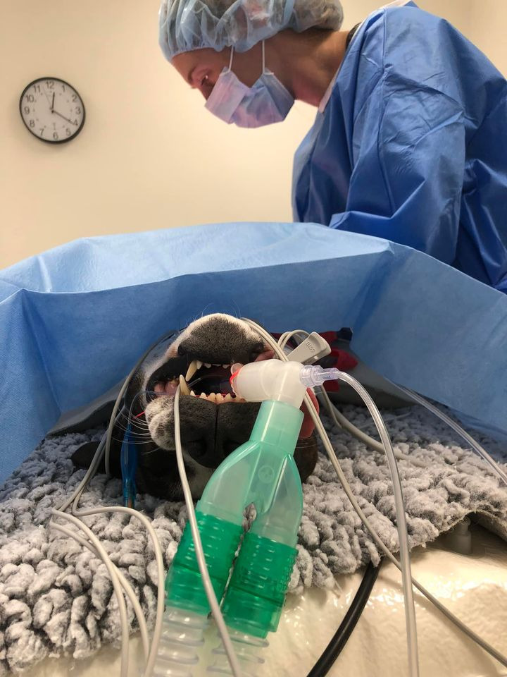 Hold trit med lokalområdet: Nyt fra Herning