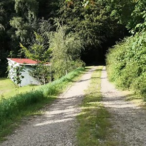 Opslagsbillede