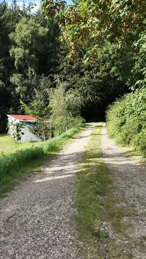 opslagsbillede