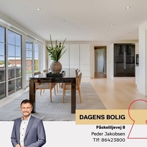 Opslagsbillede
