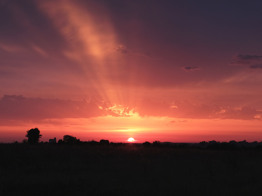 Nordisk skumringstime og foredrag om naturens tilbagegang i Haslev