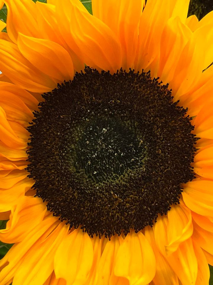 Hold trit med lokalområdet: Nyt fra Horsens