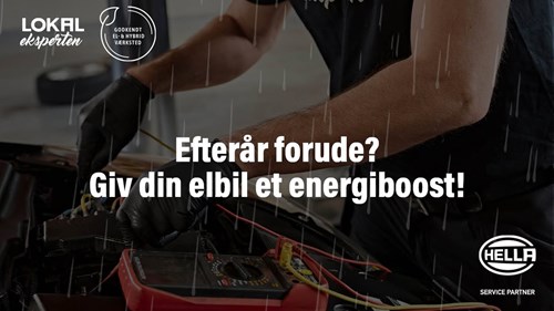 Opslagsbillede