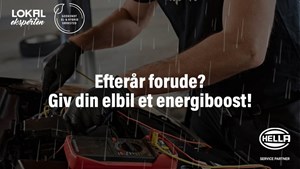 opslagsbillede