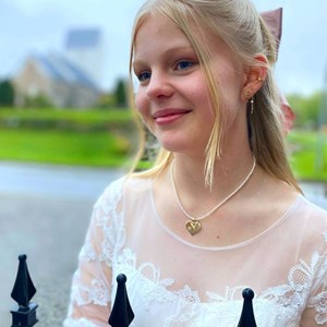 Opslagsbillede
