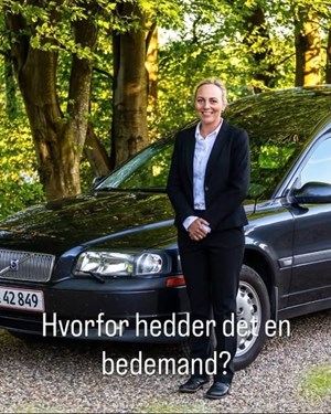 opslagsbillede