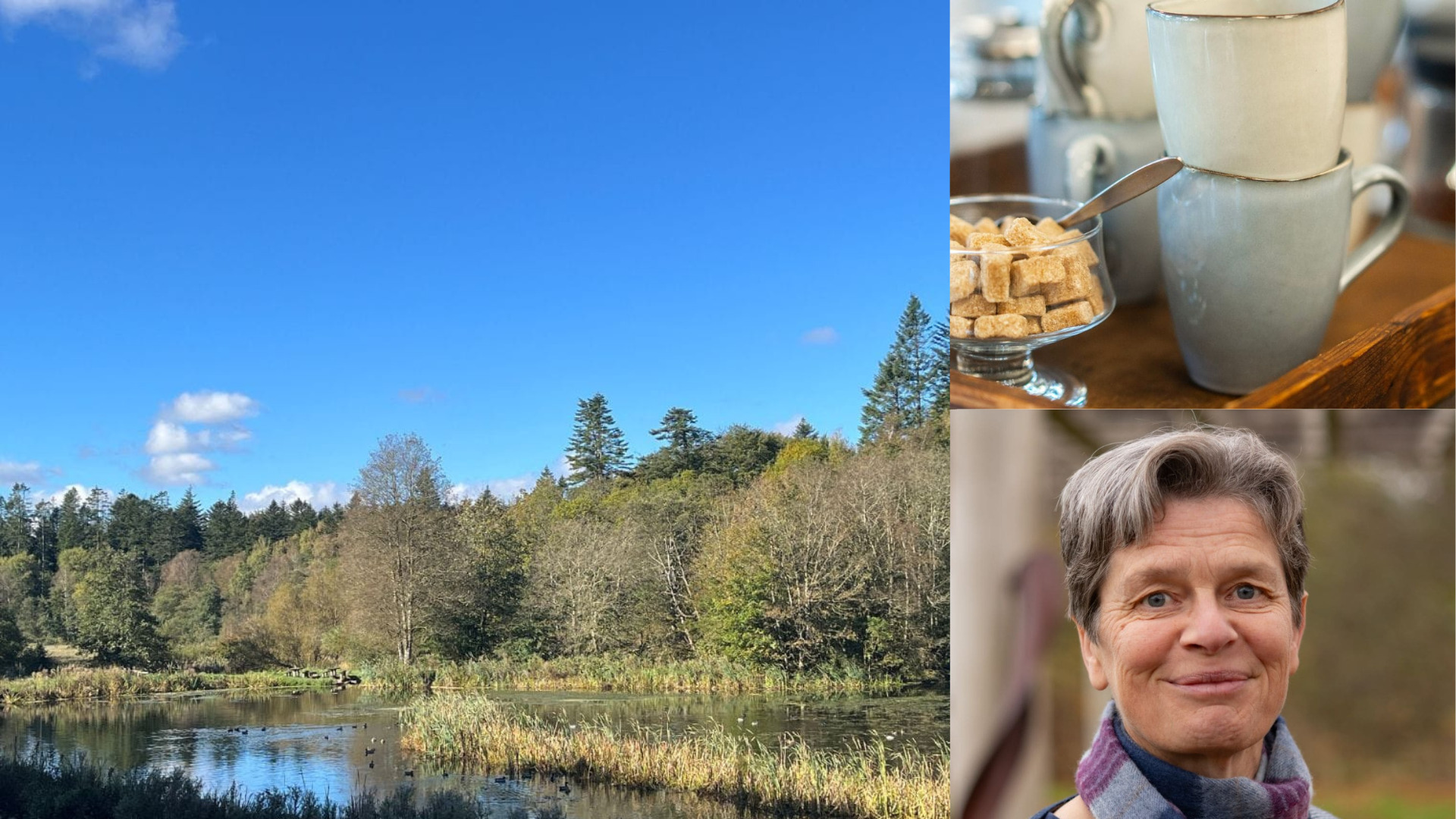 Foredrag: Klosterheden – En skov af historier