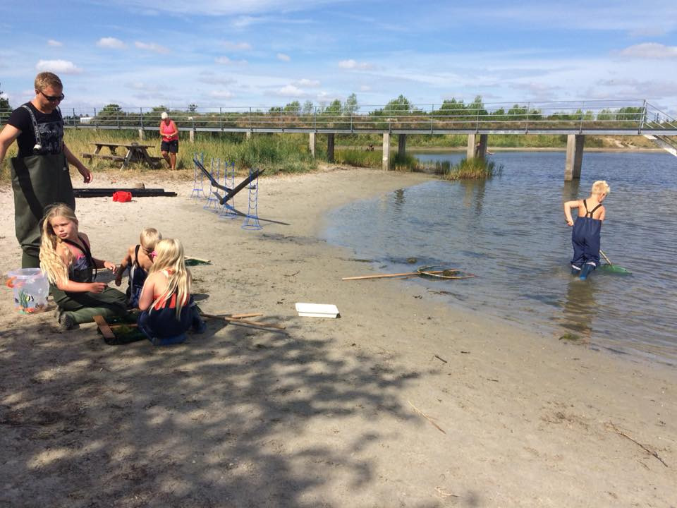 Oplev det maritime liv ved Ishøj Naturcenter