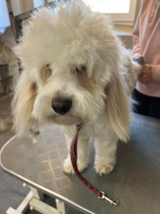 Opslagstavlen: Nyeste opdateringer fra Sæby