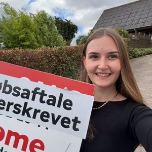 Opslagsbillede