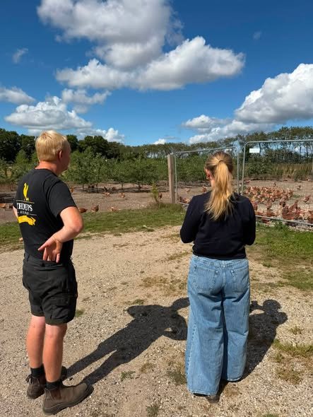 SPAR Skejby sætter fokus på lokale æg fra Thorup Æggepakkeri