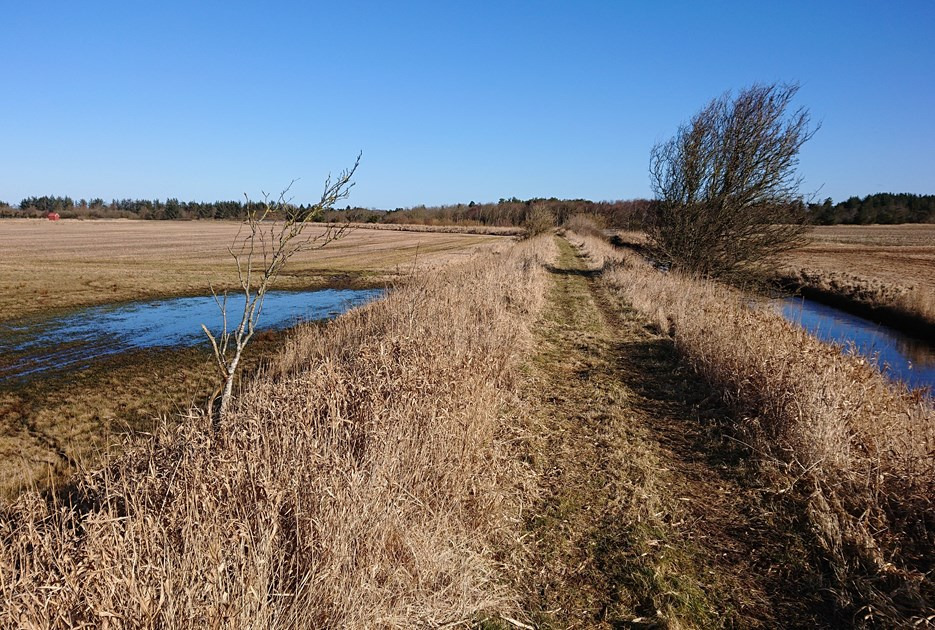 Grønt lys til vådområdeprojektet ved Nøreng