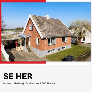 opslagsbillede