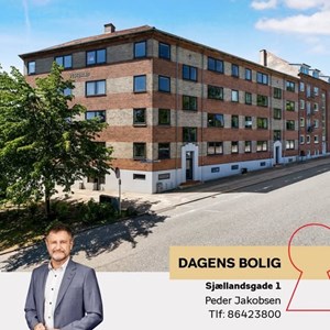 Opslagsbillede