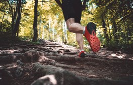 Vær med til det første Køge Marina Trail-løb