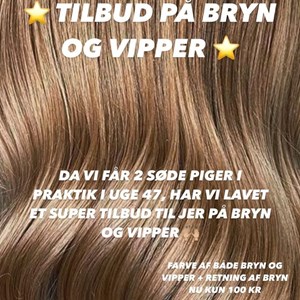Opslagsbillede