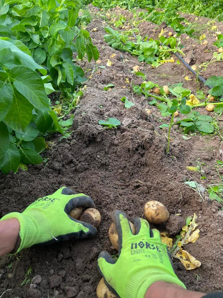 Hold dig ajour med dagens opdateringer fra Sæby