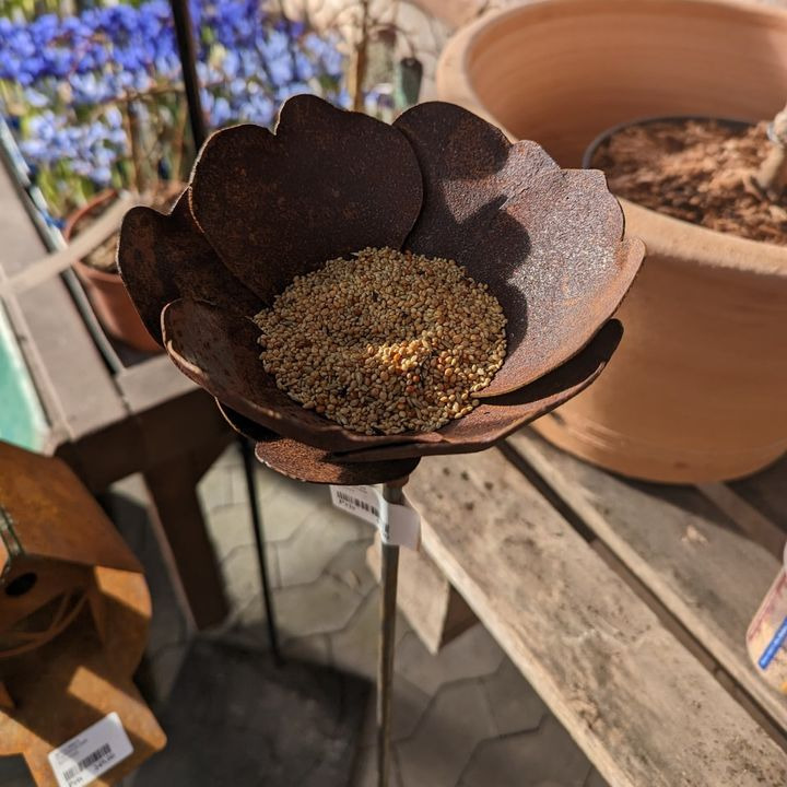 Opdatér dig her: Det nyeste fra Hobro