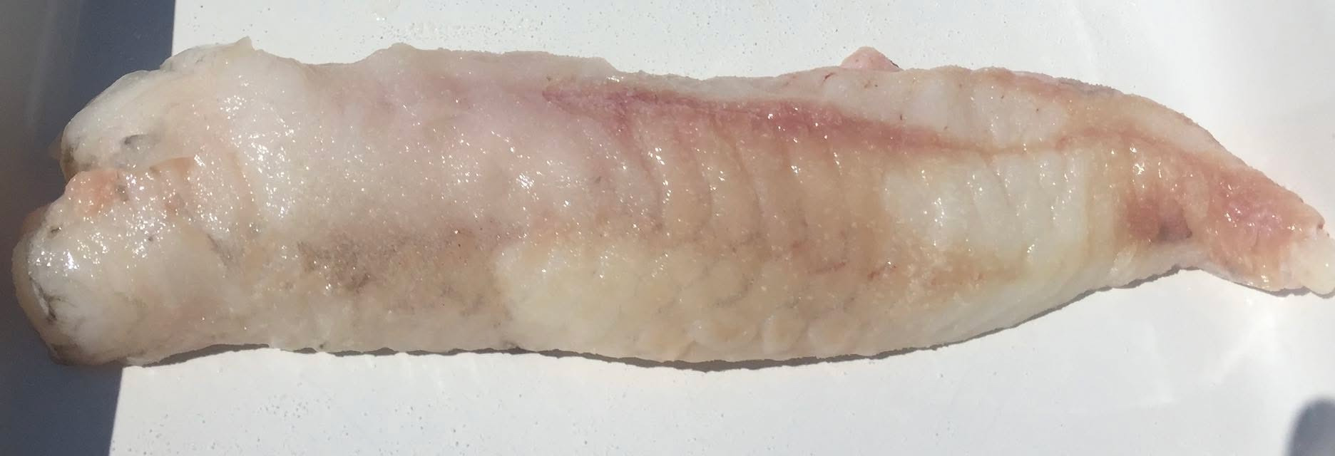 HANSTHOLM AUCTION BUYER annoncerer nye priser på havtaske i netbutikken