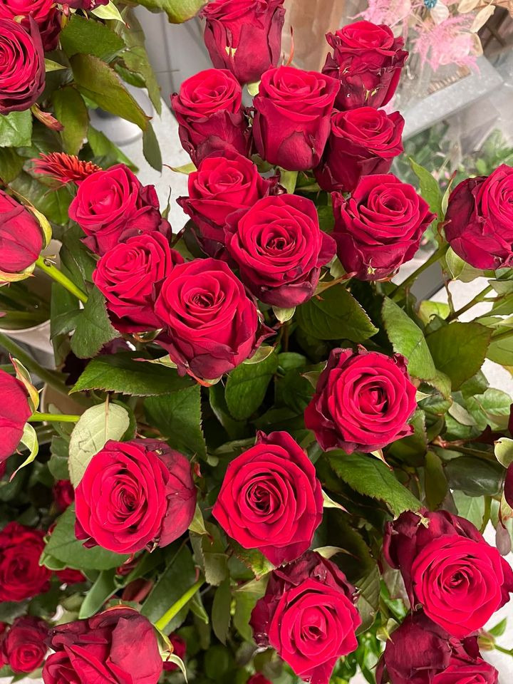 Se dagens updates fra Herning her