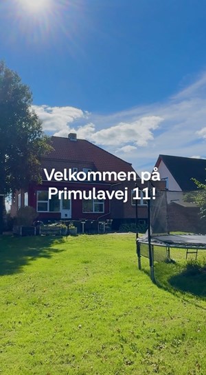opslagsbillede