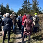 Oplev efterårsnaturen i Tved Plantage