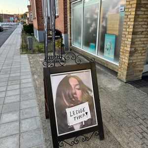 Opslagsbillede